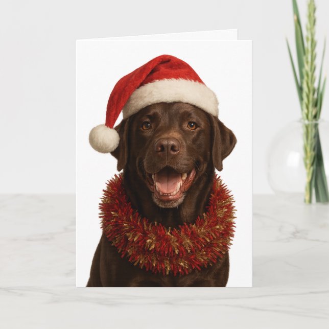 Cartão de Natal do cão Labrador Retriever de choco (Frente)