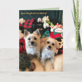 Cartão de Natal do Coletor de Carvão Canino