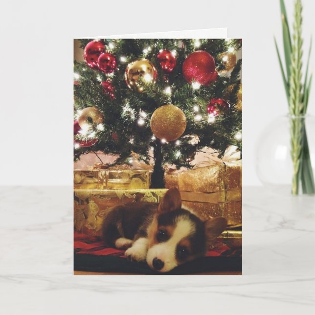 Cartão de Natal do Corgi (Frente)