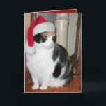Cartão de Natal do gatinho do papai noel para o<br><div class="desc">Cartão de Natal do gatinho do papai noel para o amante do gato. Gato de chita com chapéu de Papai Noel. O texto é inteiramente customizável</div>