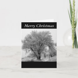 Cartão de Natal do inverno de Colorado