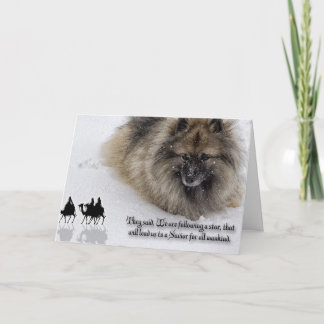 Cartão de Natal do Keeshond "três homens sábios "