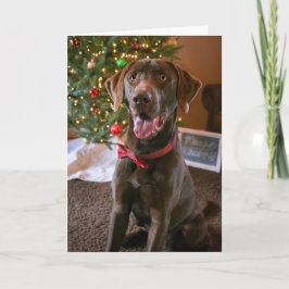 Cartão de Natal do laboratório do chocolate