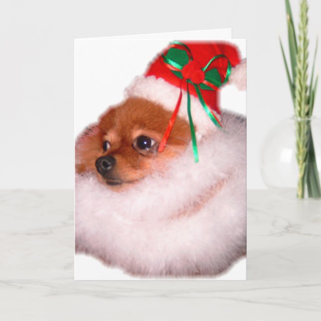 Cartão de Natal do papai noel de Pomeranian (Frente)