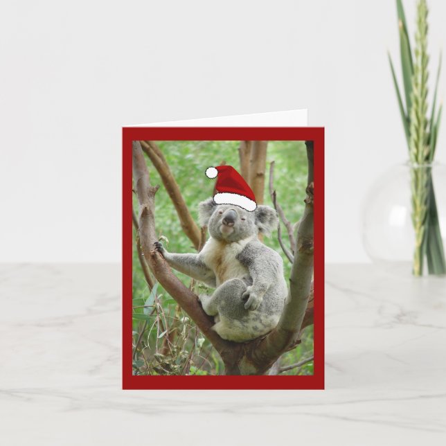 Cartão de Natal do papai noel do Koala (Frente)