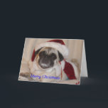 Cartão de Natal do Pug<br><div class="desc">O cartão de Natal do Pug com pata imprime no cobrir interno.  Todo o texto pode ser personalizado ou editado a sua escolha.</div>