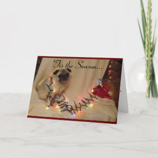 Cartão de Natal do Pug