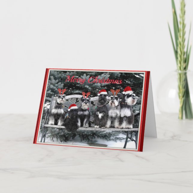 Cartão de Natal do Schnauzer (Frente)