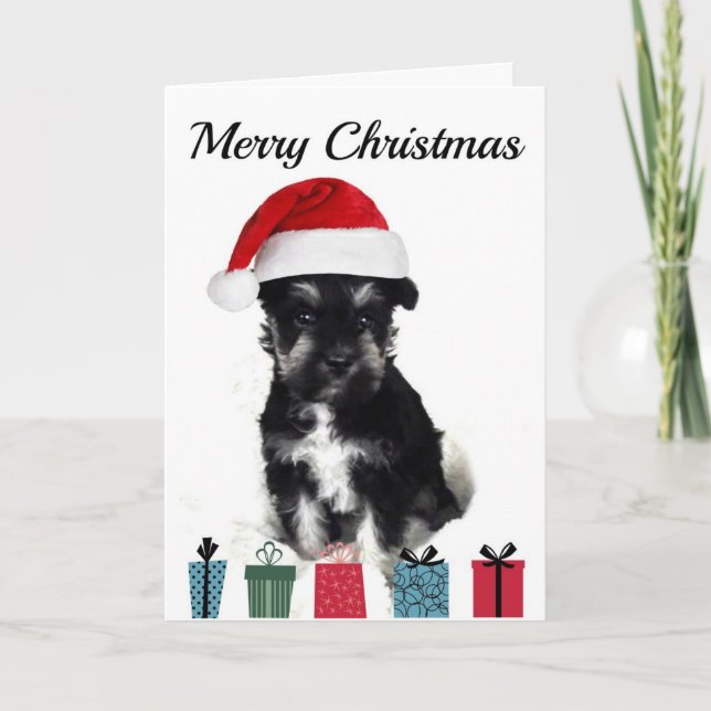 Cartão de Natal do Schnauzer (Frente)