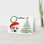 Cartão de Natal do Schnauzer do papai noel<br><div class="desc">Eu acredito nas patas do papai noel. Schnauzer diminuto branco com boné do papai noel.  Schnauzers-Rule.com</div>