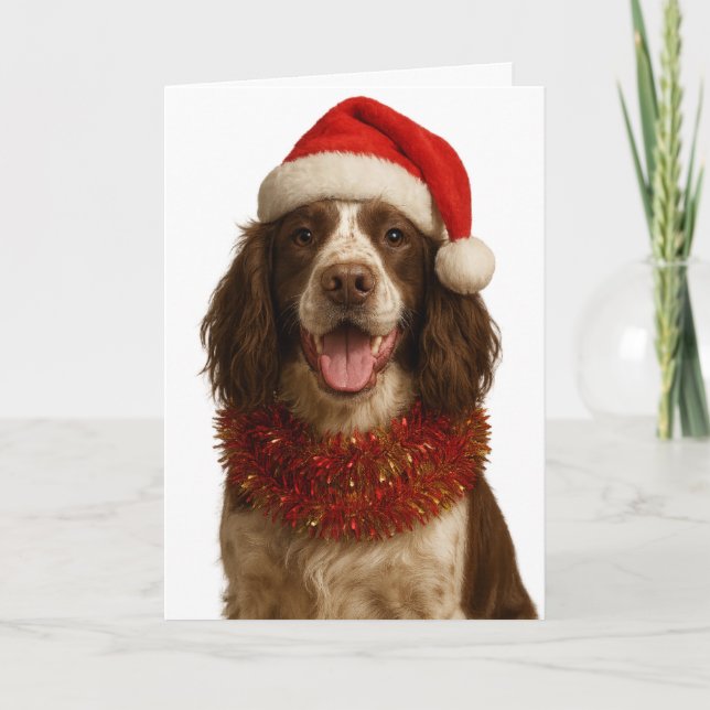 Cartão de Natal do Springer Spaniel fígado e branc (Frente)