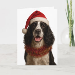 Cartão de Natal do Springer Spaniel preto e branco