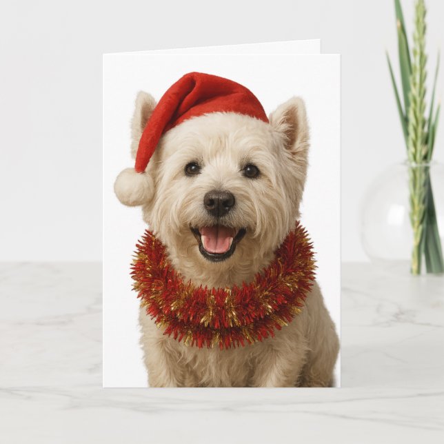 Cartão de Natal do Terrier West Highland (Frente)