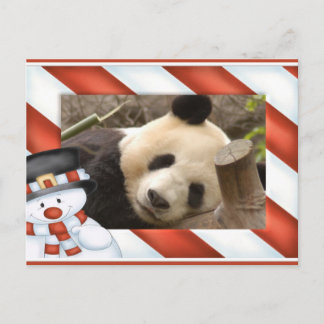 Cartão de Natal do urso de panda gigante & da