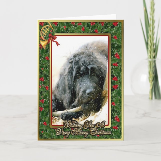 Cartão de Natal do vazio do cão de Labradoodle (Frente)