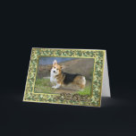 Cartão de Natal do vazio do cão do Corgi de Galês<br><div class="desc">Cartão de Natal do vazio do cão do Corgi de Galês do casaco de lã</div>