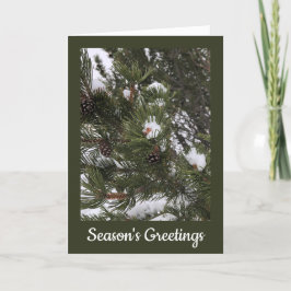 Cartão de Natal Dobrado de Pinhas Nevadas