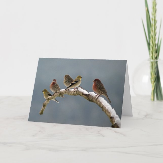 Cartão de Natal dos passarinhos (Frente)