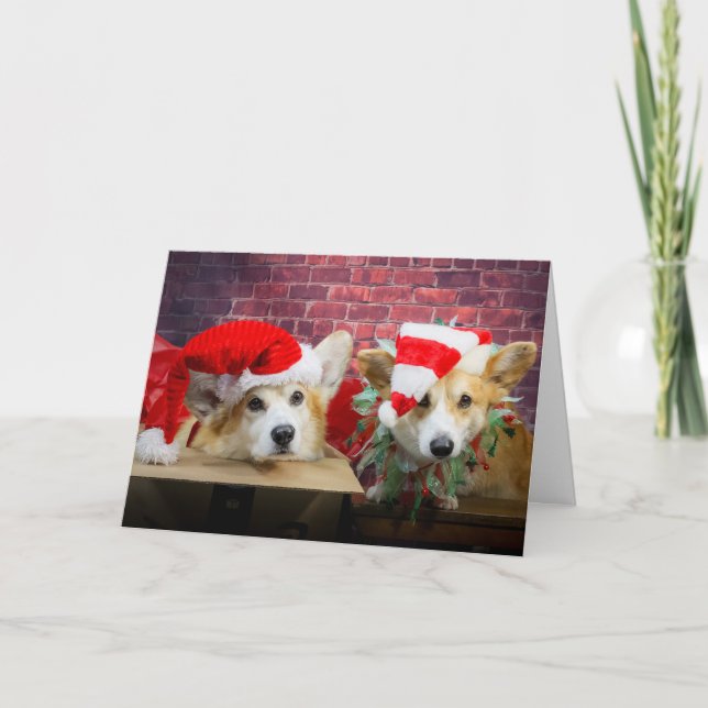 Cartão de Natal Elf Corgi (Frente)