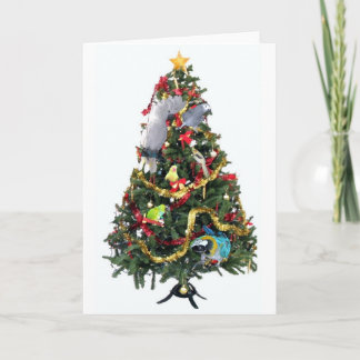 Cartão de Natal emplumado da família