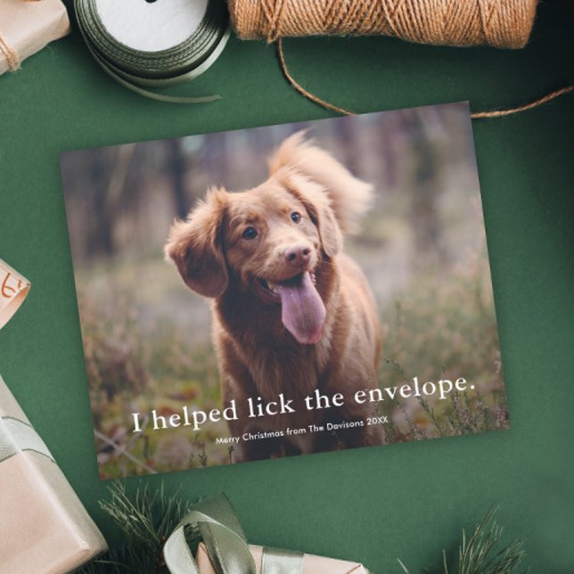Cartão de Natal engraçado do animal de estimação L (Funny pet photo christmas holiday cards.)