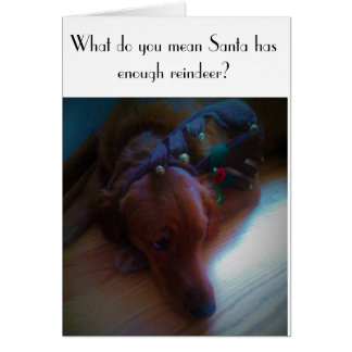 cartão de Natal engraçado do cão