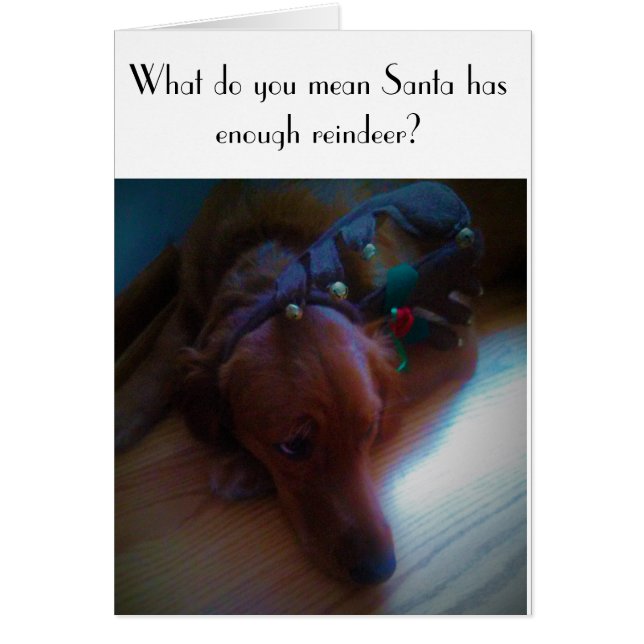 cartão de Natal engraçado do cão (Frente)