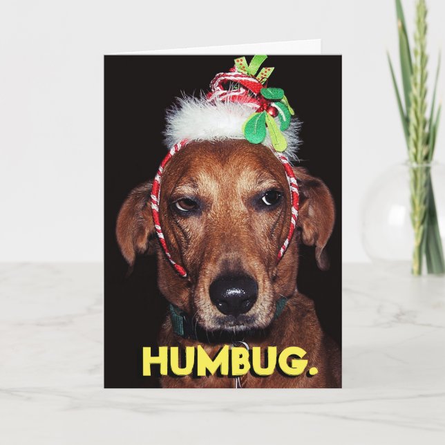 Cartão de Natal engraçado para cães HUMBUG (Frente)