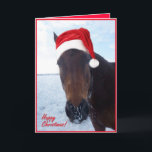 Cartão de Natal feliz do cavalo do papai noel -<br><div class="desc">Este cavalo feliz tem jogado na neve,  vestindo seu chapéu do papai noel. 

 Deseje a seus amigos um Natal feliz,  e adicione sua própria mensagem personalizada para dentro.</div>