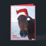 Cartão de Natal feliz do cavalo do papai noel -<br><div class="desc">Este cavalo feliz tem jogado na neve,  vestindo seu chapéu do papai noel. 

 Deseje a seus amigos um Natal feliz,  e adicione sua própria mensagem personalizada para dentro.</div>