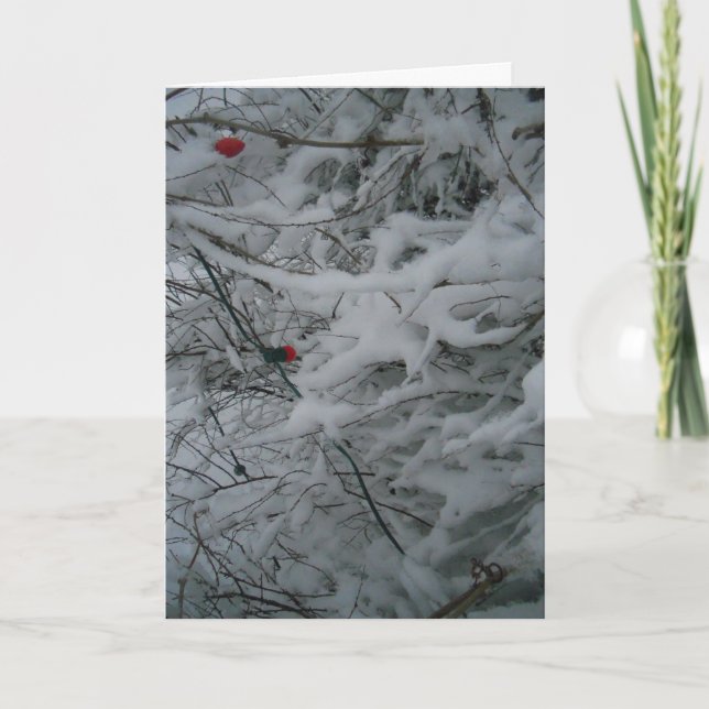 Cartão de Natal "Festivamente Esfuziante" (Frente)