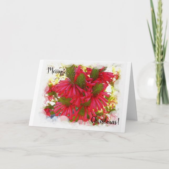 Cartão de Natal - Flores de Erica (Frente)