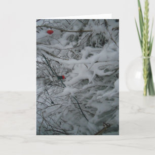 Cartão de Natal "Flutuante Festivamente"