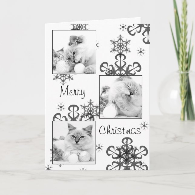 cartão de natal gatinho (Frente)