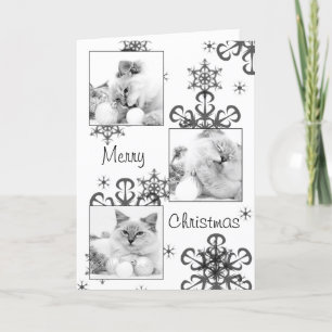 cartão de natal gatinho