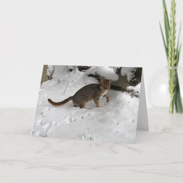 Cartão de Natal - gato manchado oxidado 2 (Frente)