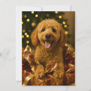 Cartão de Natal Goldendoodle