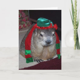 Cartão de Natal Groundhog