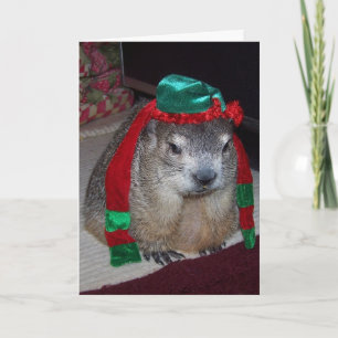 Cartão de Natal Groundhog