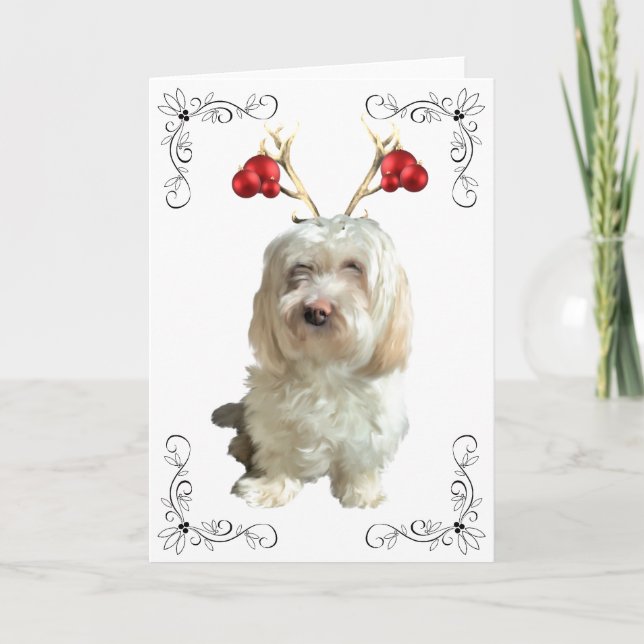 Cartão de Natal Havanese Reindeer (Frente)