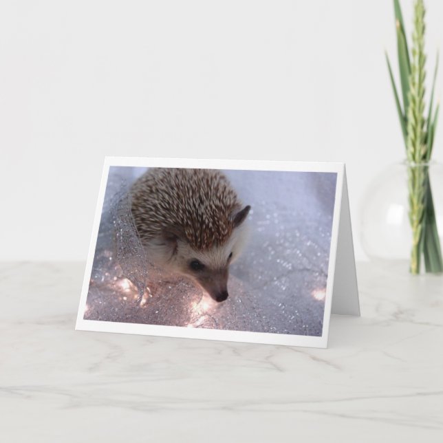 Cartão de Natal Hedgehog (Frente)