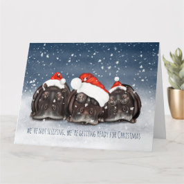 Cartão de Natal Hippo Trio de Natal Sonolento