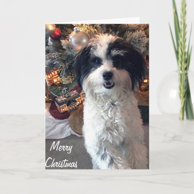 Cartão de Natal K-Cee, Feliz Natal (Frente)