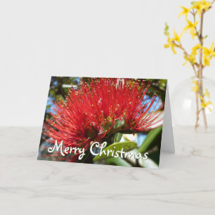 CARTÃO DE NATAL KIWI POHUTAKAWA PERSONALIZÁVEL