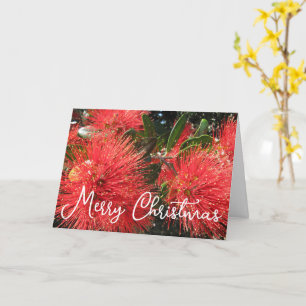 CARTÃO DE NATAL KIWI POHUTAKAWA PERSONALIZÁVEL