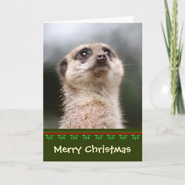 Cartão de Natal Meerkat (Frente)