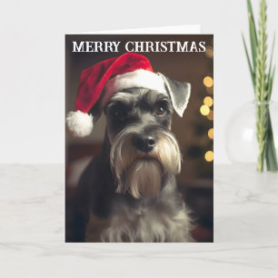 Cartão de Natal Miniatura Schnauzer