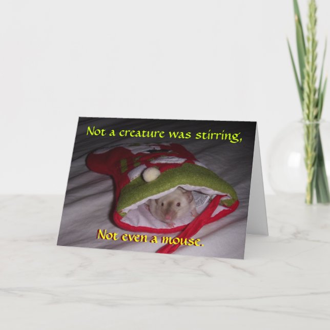 Cartão de Natal: Nem sequer um rato (Frente)