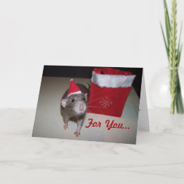 Cartão de Natal Noah 2