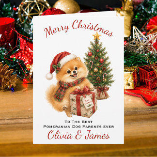 Cartão de Natal Pais de Cachorro Pomerânia